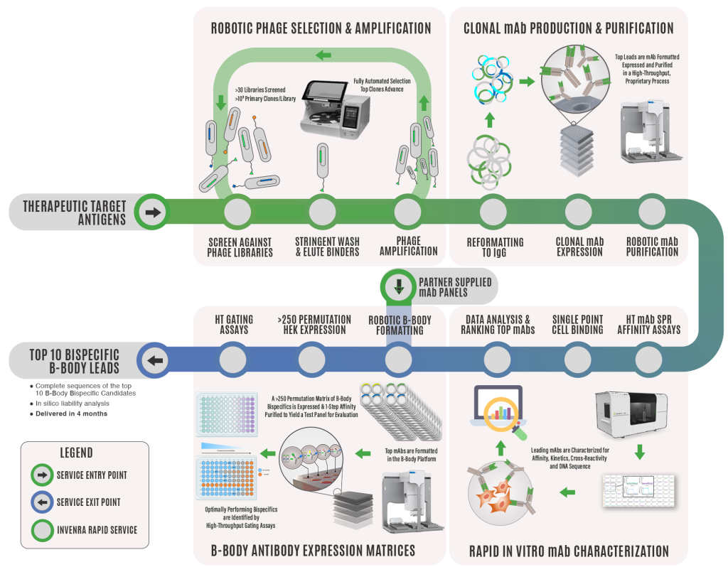 Invenra's Rapid Bispecific Discovery Service