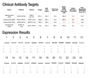 T-Body Performance with Challenging Antibodies