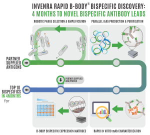 Outlne of the Rapid Discovery Process
