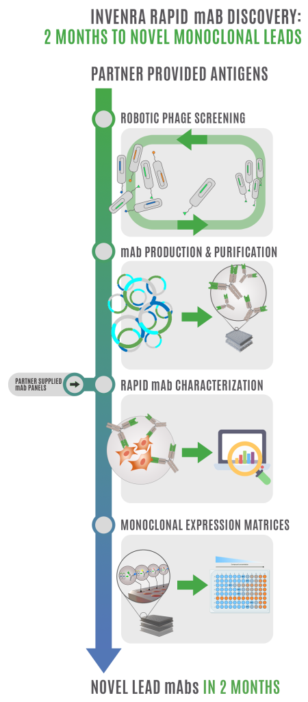 Monoclonal Ab Discovery Overview