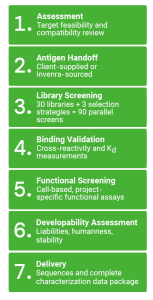 Invenra Discovery Process Steps